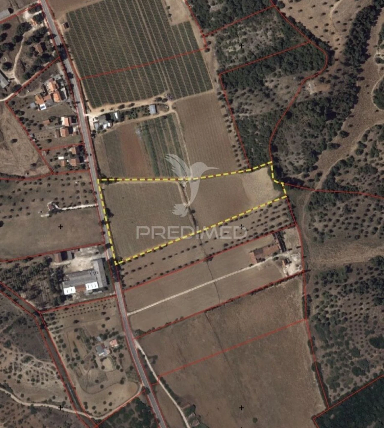 Terreno para Venda em Pernes Foto 1