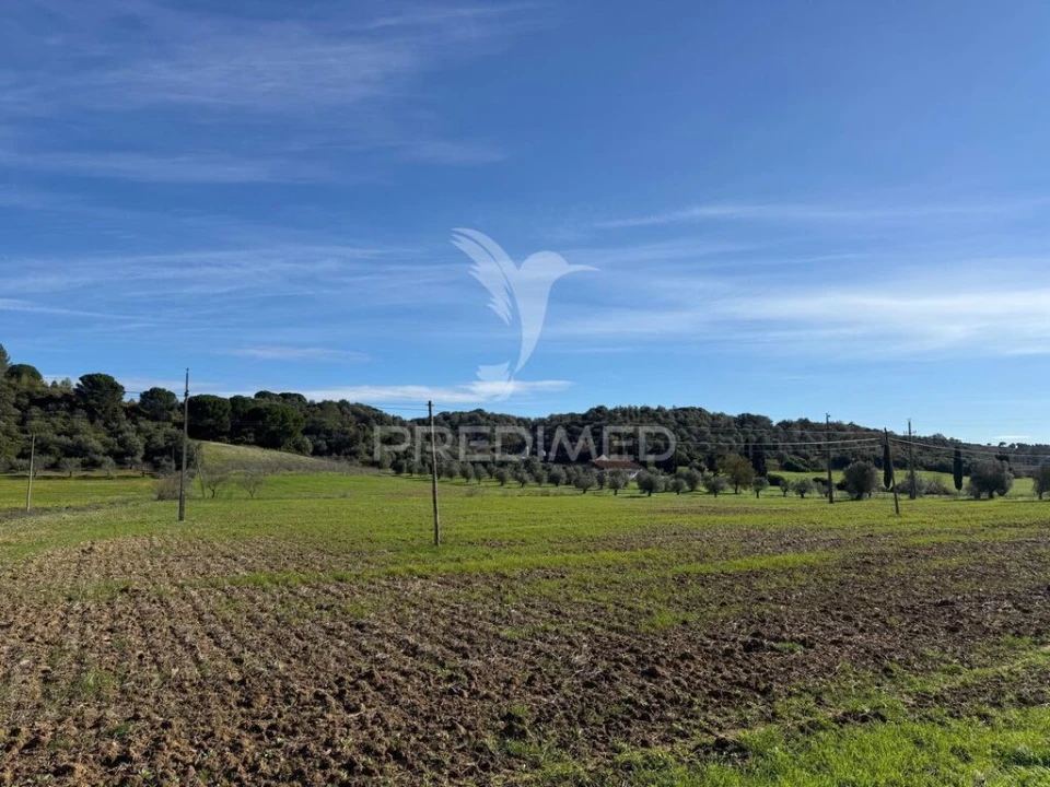 Terreno para Venda em Pernes Foto 16