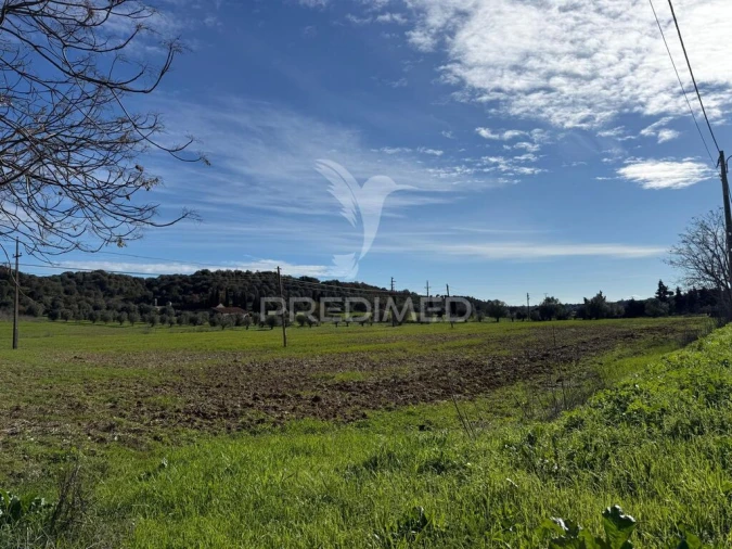 Terreno para Venda em Pernes Foto 7