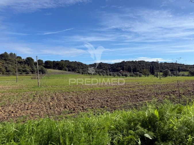 Terreno para Venda em Pernes Foto 8