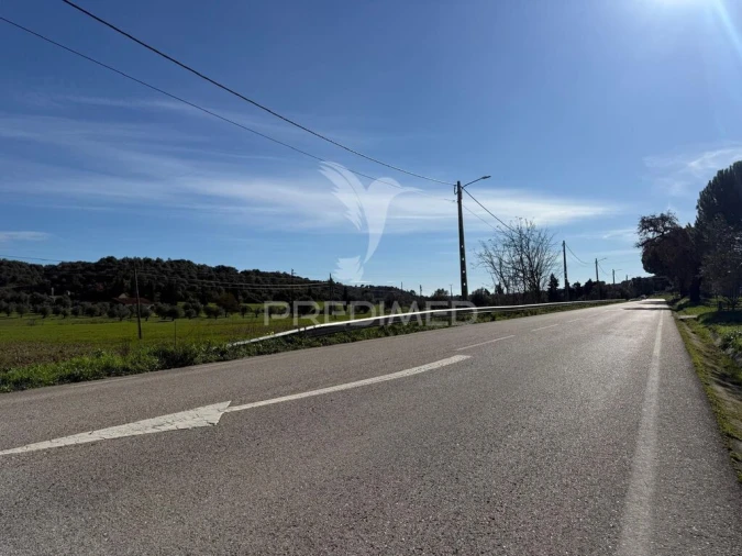 Terreno para Venda em Pernes Foto 18