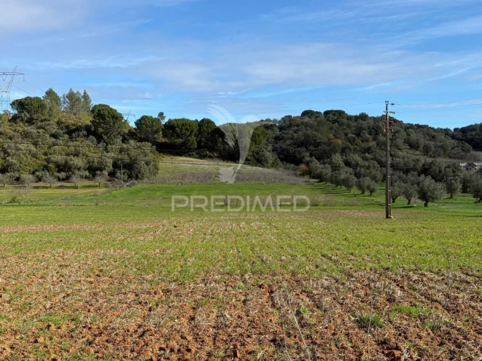 Terreno para Venda em Pernes Foto 10