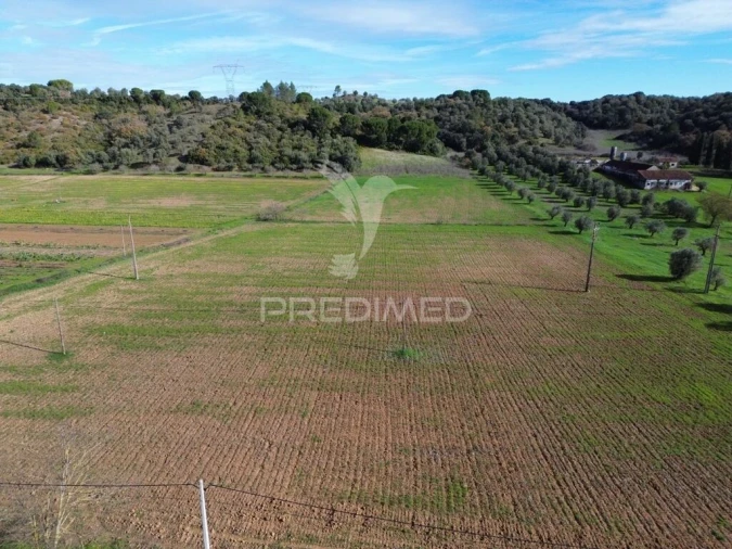 Terreno para Venda em Pernes Foto 2