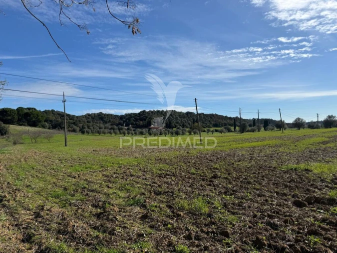 Terreno para Venda em Pernes Foto 6