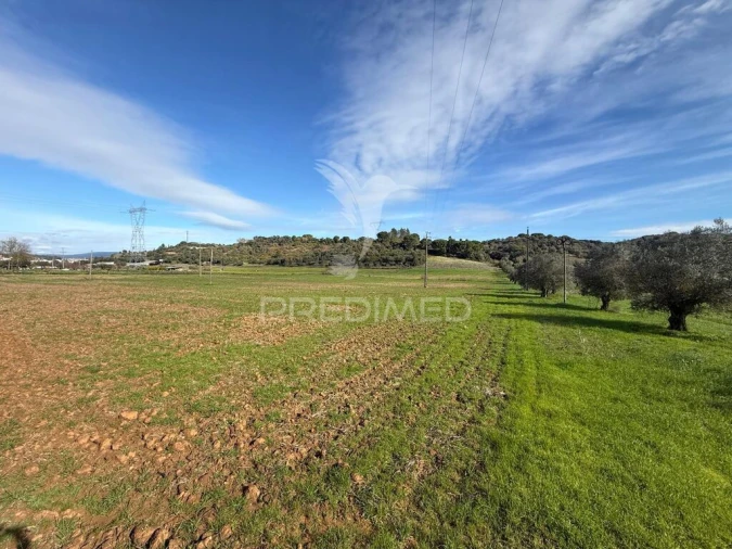 Terreno para Venda em Pernes Foto 13