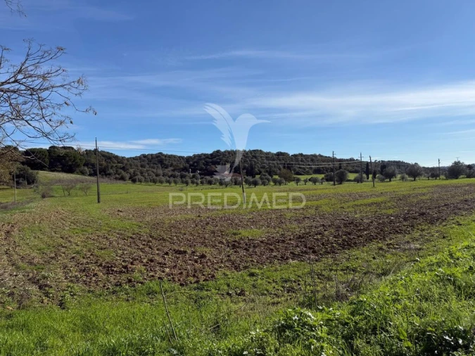 Terreno para Venda em Pernes Foto 19
