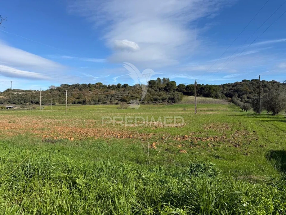 Terreno para Venda em Pernes Foto 5