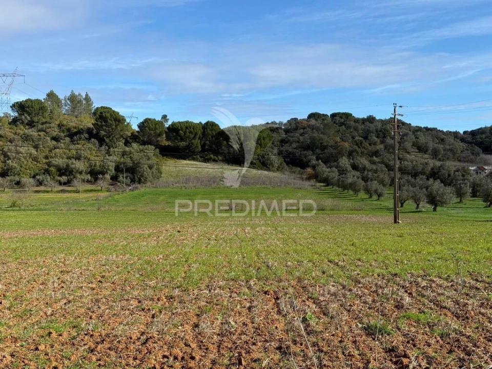 Terreno para Venda em Pernes Foto 10