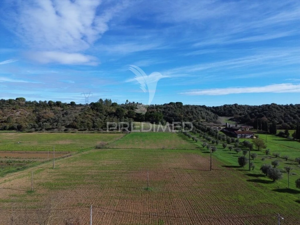 Terreno para Venda em Pernes Foto 4