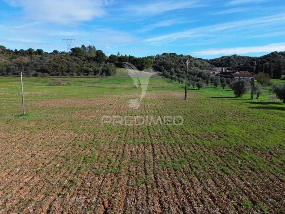 Terreno para Venda em Pernes Foto 3