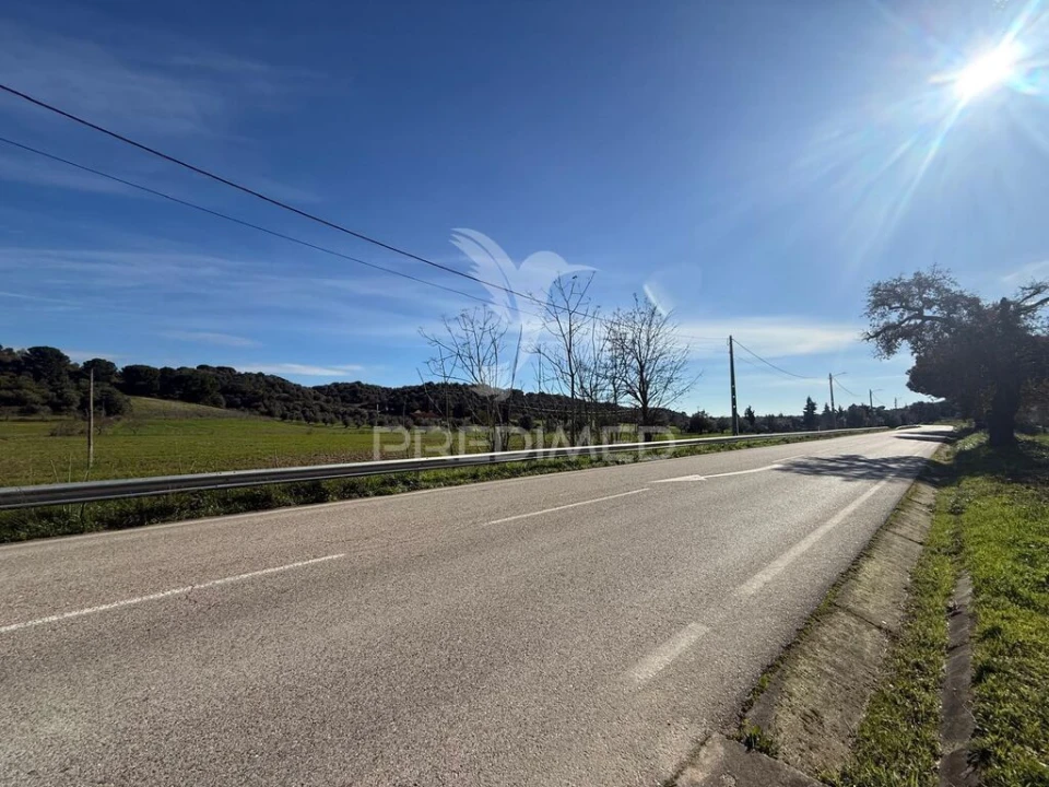 Terreno para Venda em Pernes Foto 20