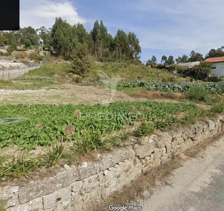 Terreno para Venda em Cristelos, Boim e Ordem Foto 3