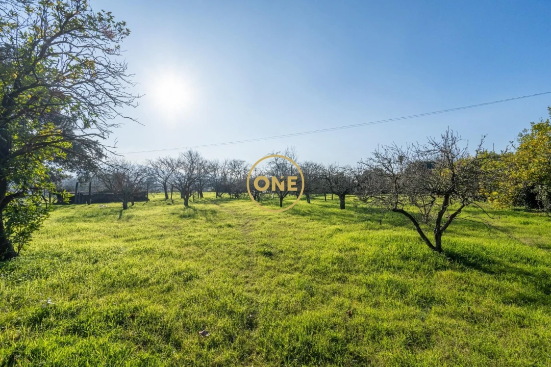 Quinta T4 para Venda em Bairro Foto 60