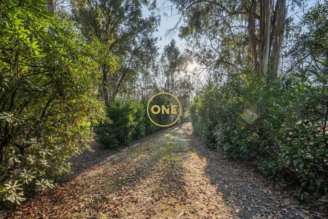 Quinta T4 para Venda em Bairro Foto 48