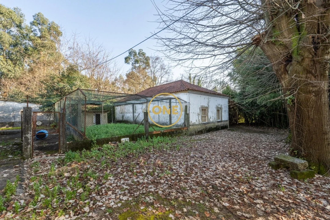 Quinta T4 para Venda em Bairro Foto 56