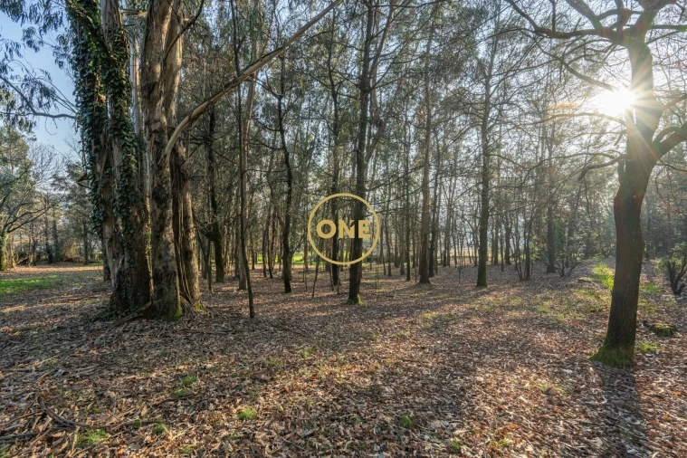 Quinta T4 para Venda em Bairro Foto 49