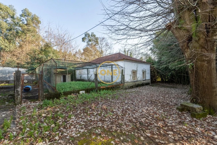 Quinta T4 para Venda em Bairro Foto 56