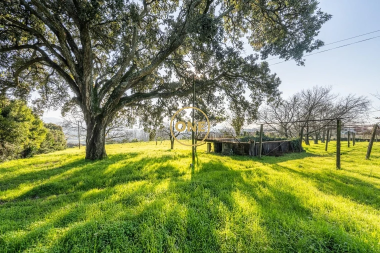 Quinta T4 para Venda em Bairro Foto 61