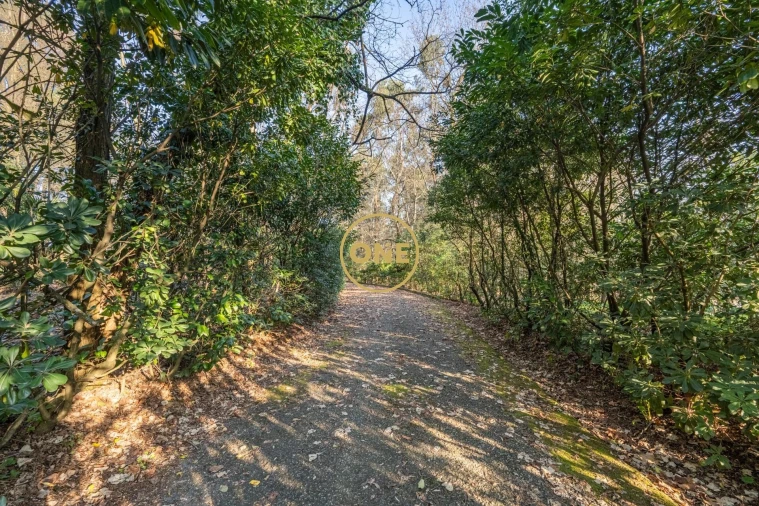 Quinta T4 para Venda em Bairro Foto 45