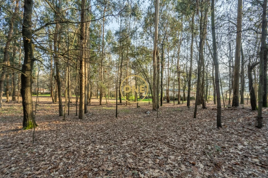 Quinta T4 para Venda em Bairro Foto 50