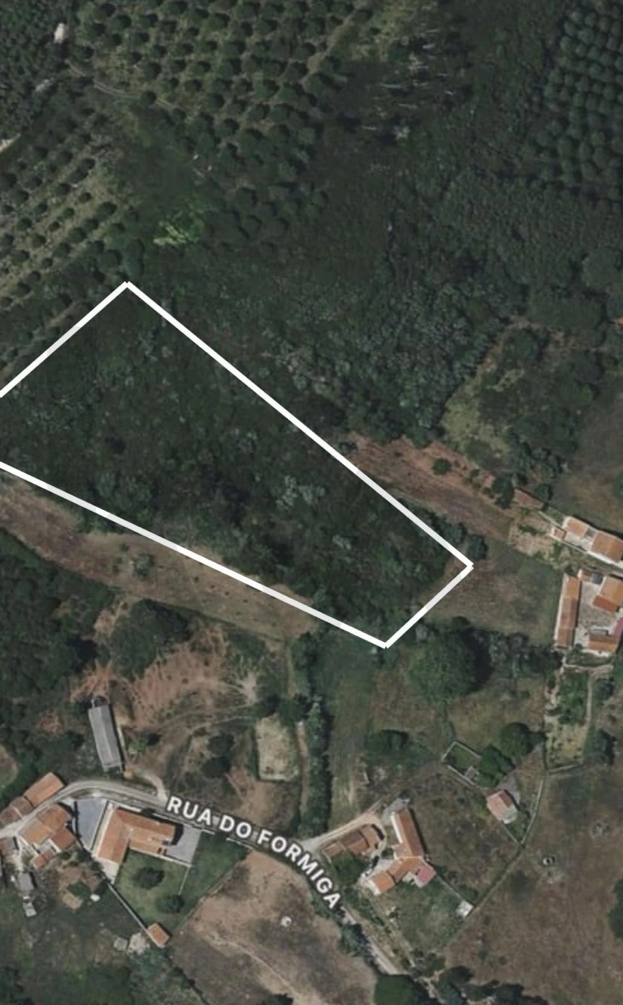 Terreno para Venda em Famalicão Foto 13