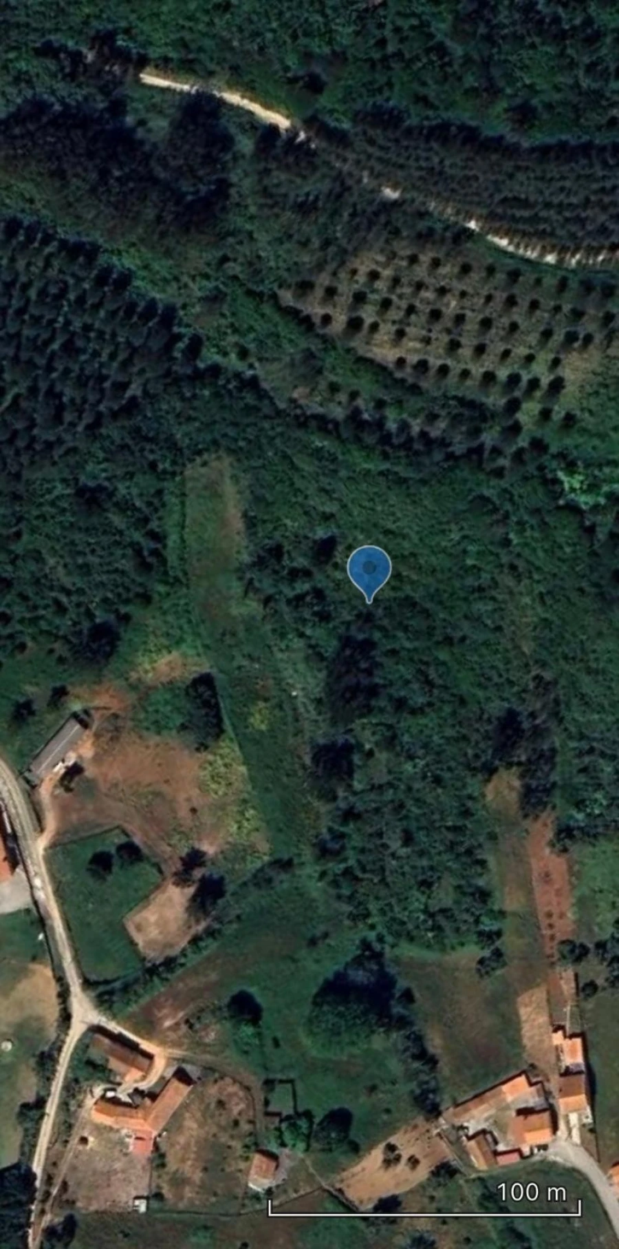 Terreno para Venda em Famalicão Foto 17