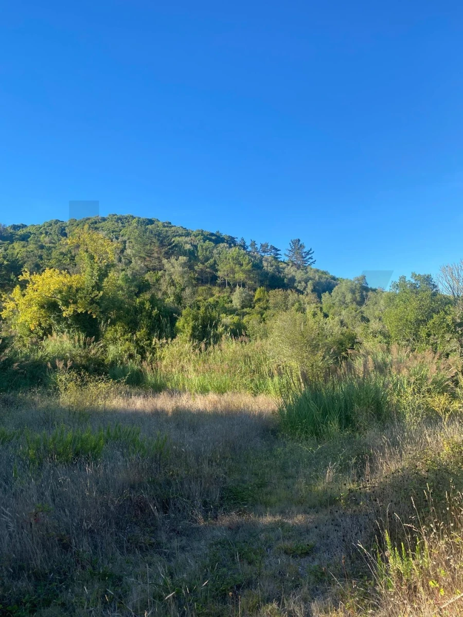 Terreno para Venda em Famalicão Foto 9