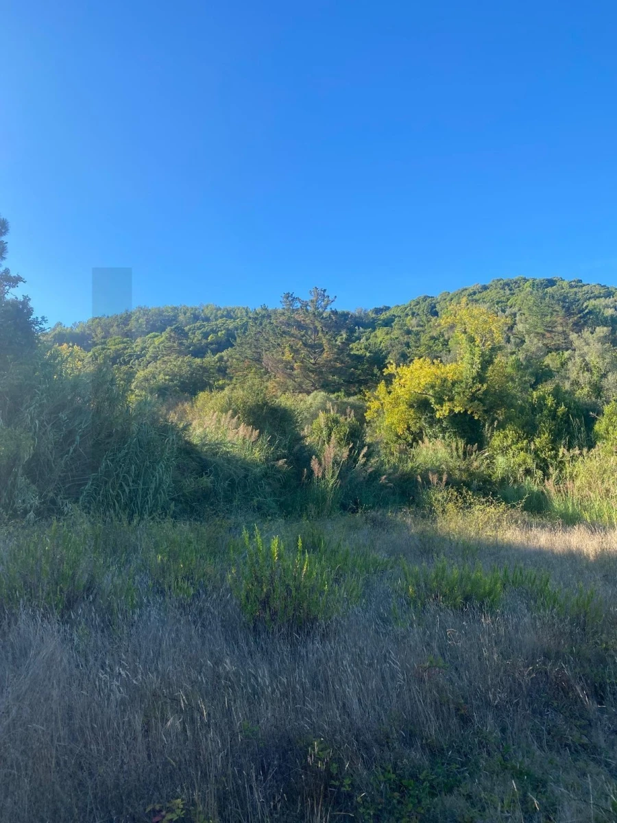 Terreno para Venda em Famalicão Foto 2