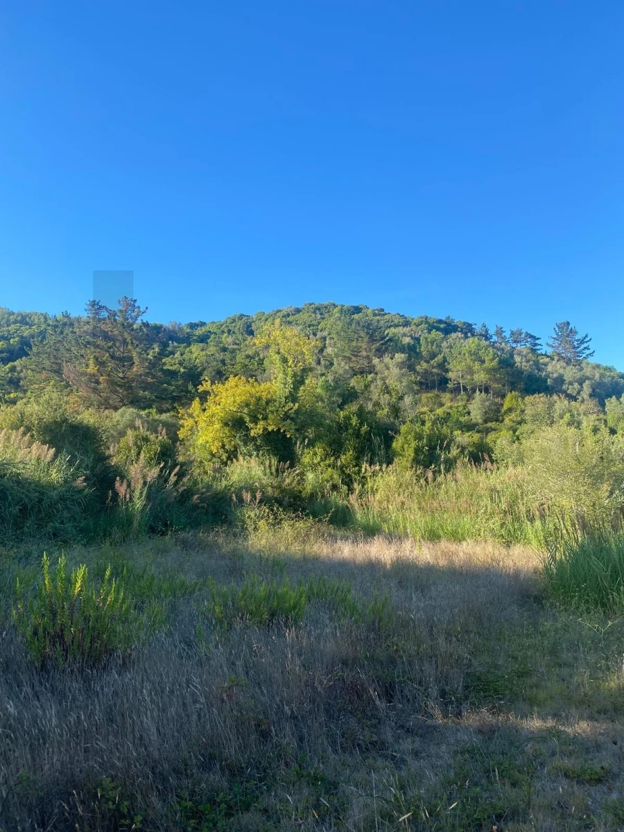 Terreno para Venda em Famalicão Foto 6