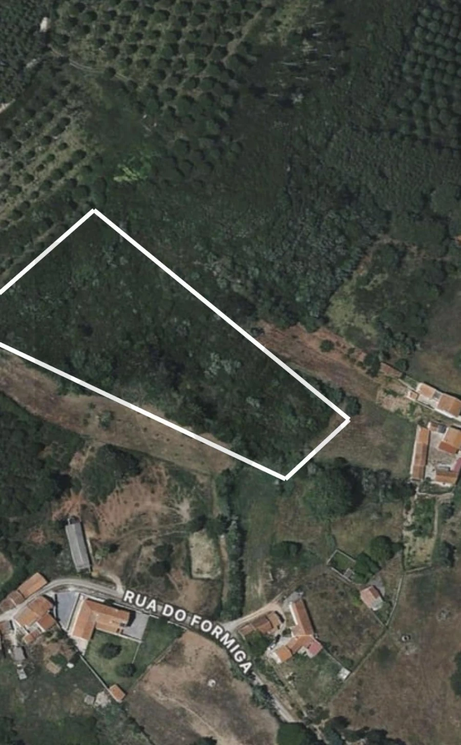 Terreno para Venda em Famalicão Foto 13