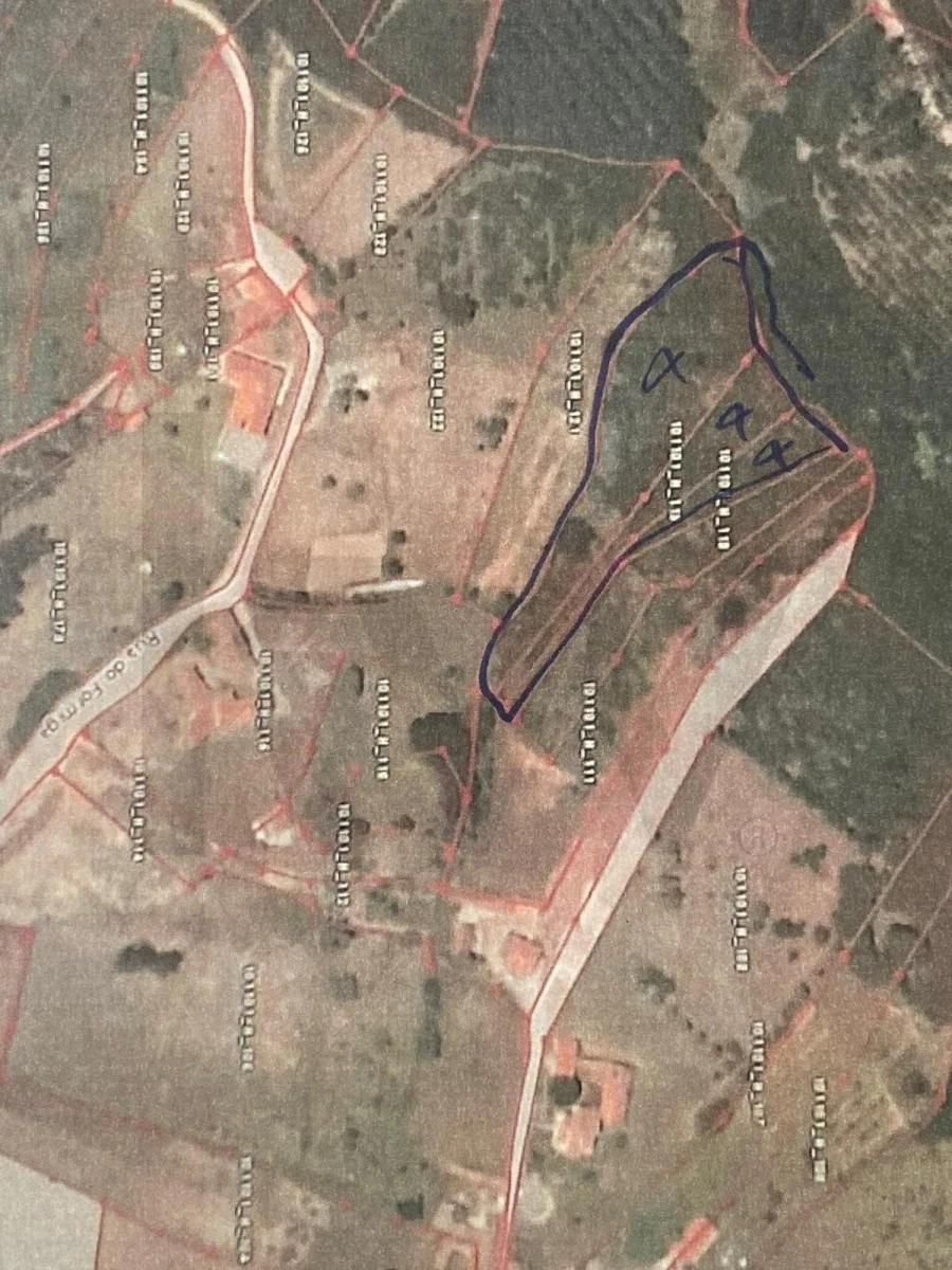 Terreno para Venda em Famalicão Foto 20