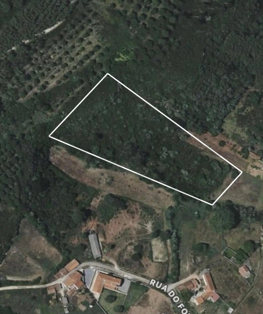 Terreno para Venda em Famalicão Foto 3