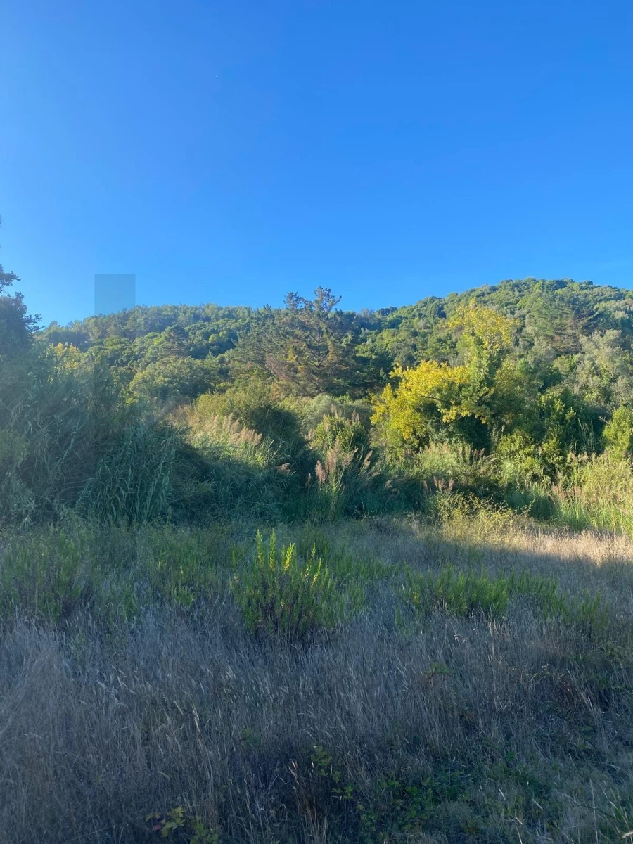 Terreno para Venda em Famalicão Foto 15