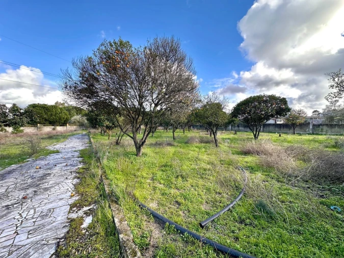 Moradia T1 para Venda em Palmela Foto 5