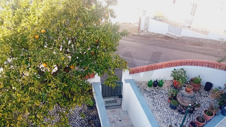 Apartamento T2 para Arrendamento em Santo Antonio dos Olivais Foto 13