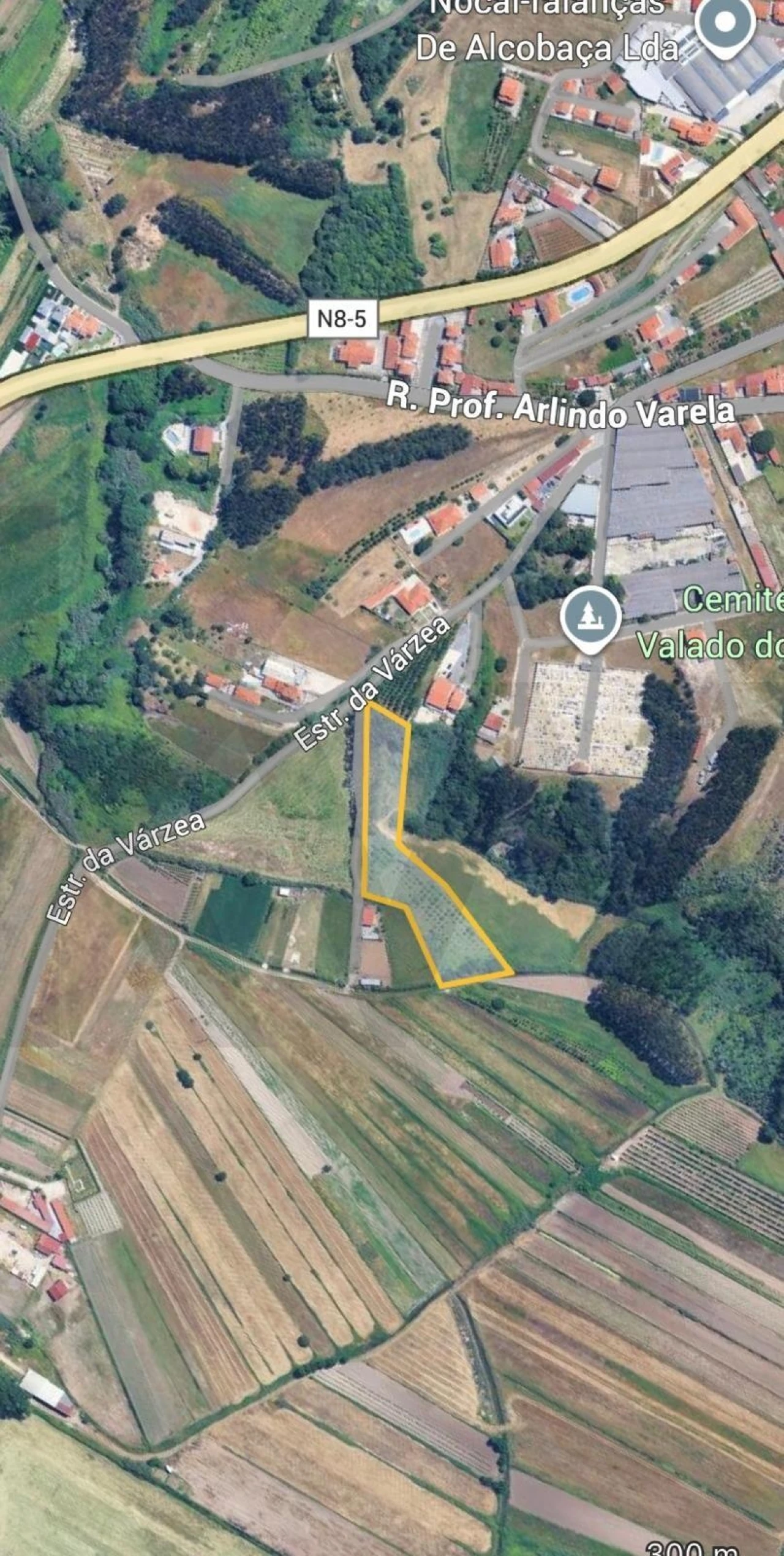 Terreno para Venda em Valado dos Frades Foto 5