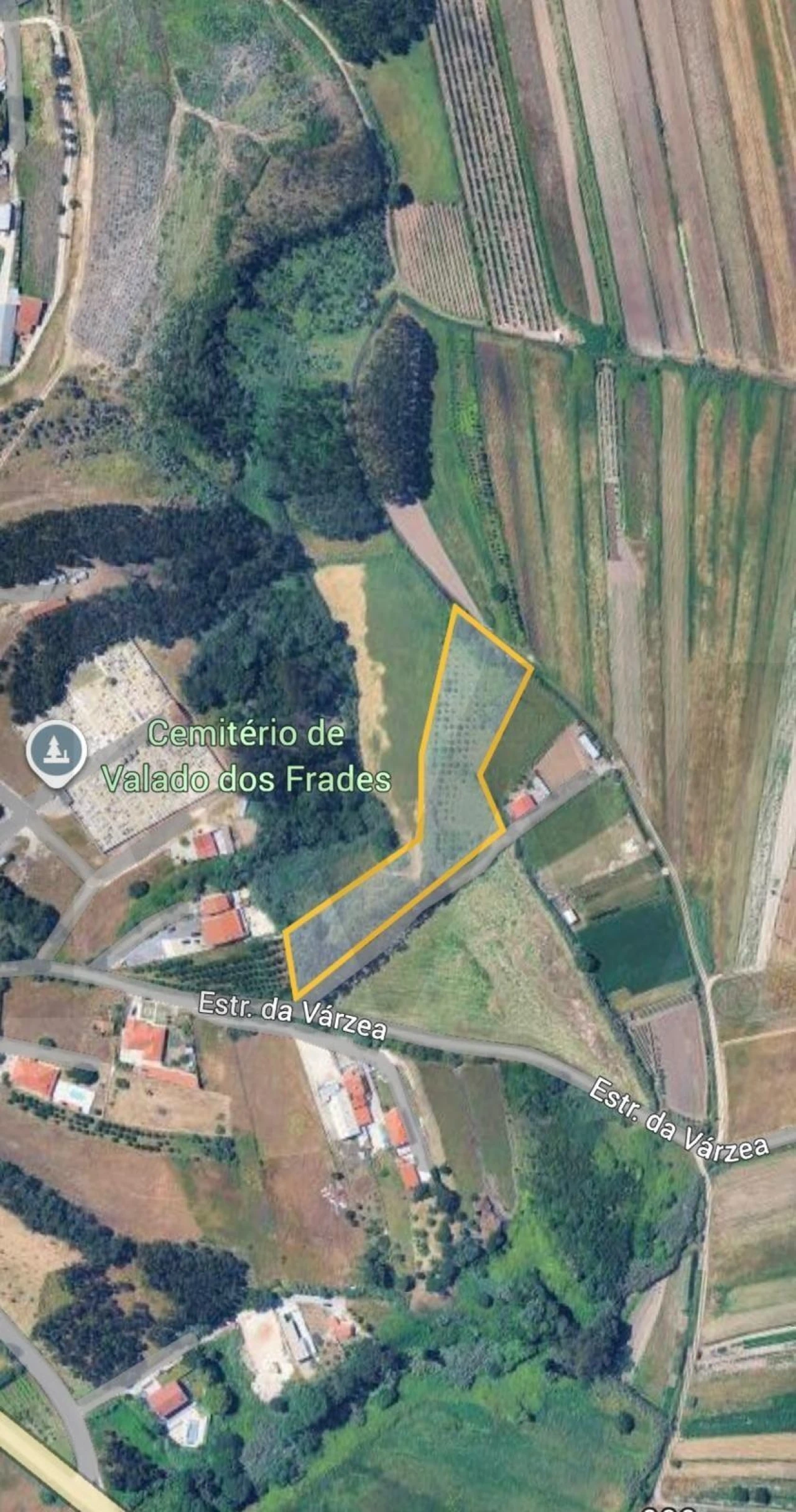 Terreno para Venda em Valado dos Frades Foto 14