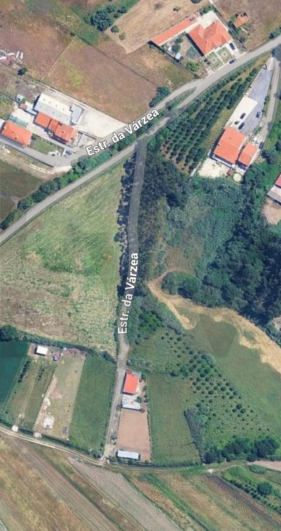 Terreno para Venda em Valado dos Frades Foto 12