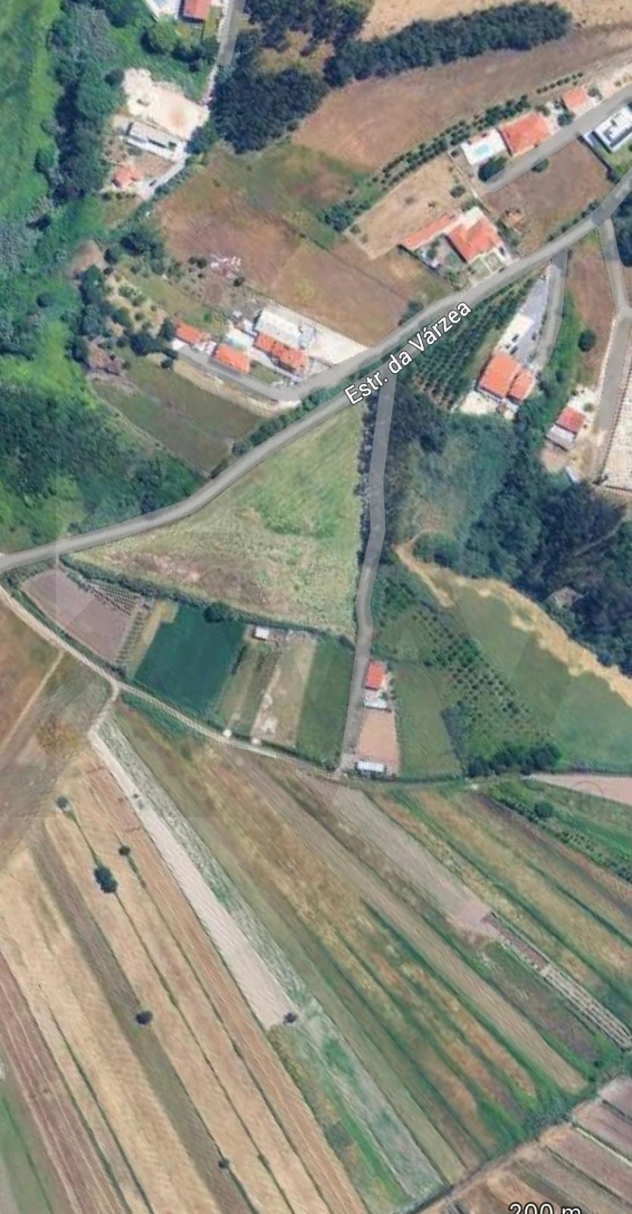 Terreno para Venda em Valado dos Frades Foto 13