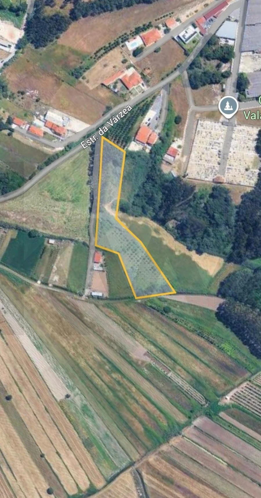 Terreno para Venda em Valado dos Frades Foto 3