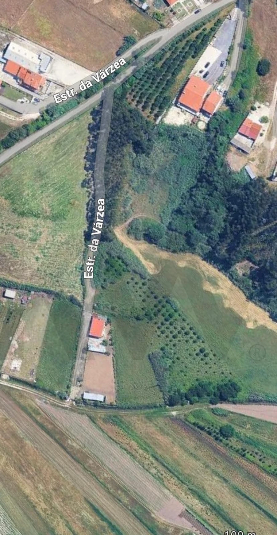 Terreno para Venda em Valado dos Frades Foto 9