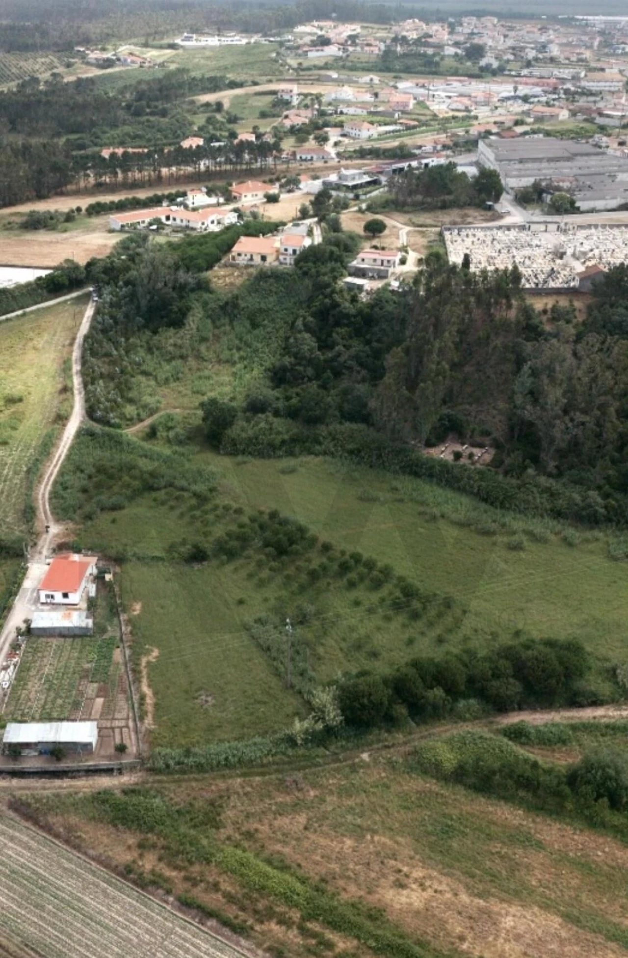 Terreno para Venda em Valado dos Frades Foto 6
