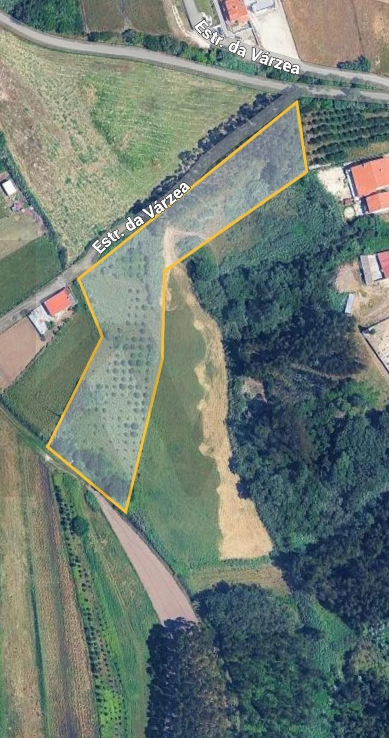 Terreno para Venda em Valado dos Frades Foto 4