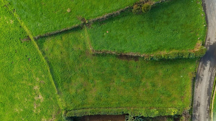 Terreno para Venda em Sao Pedro de Nordestinho Foto 9