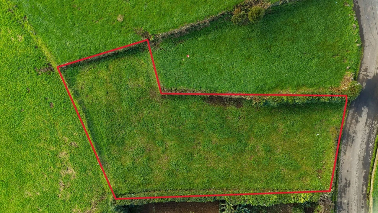 Terreno para Venda em Sao Pedro de Nordestinho Foto 2