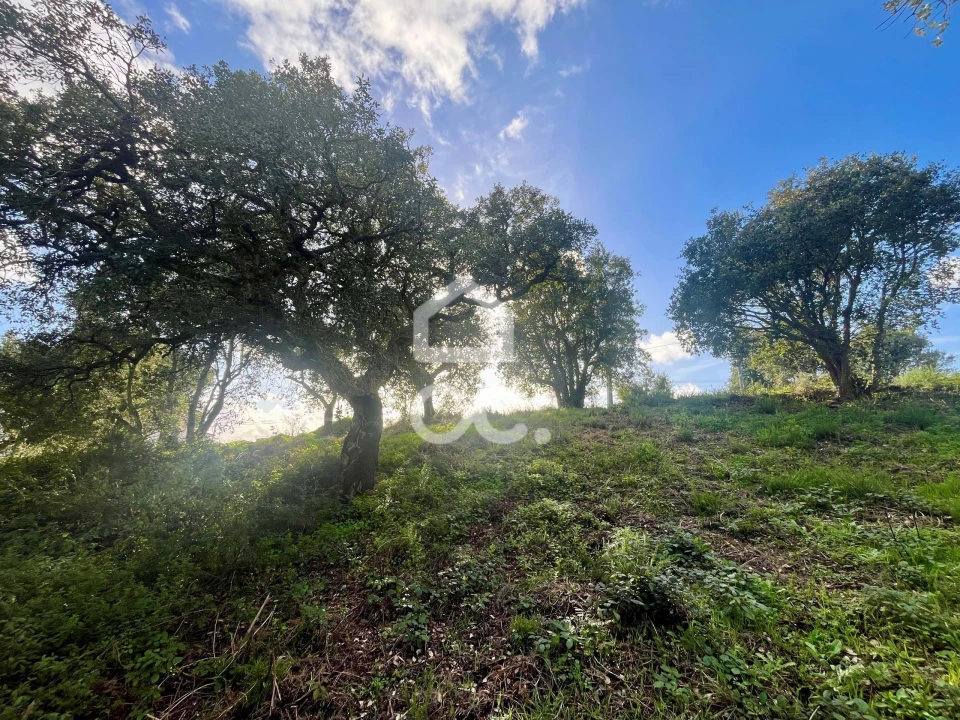 Terreno para Venda em A dos Negros Foto 9
