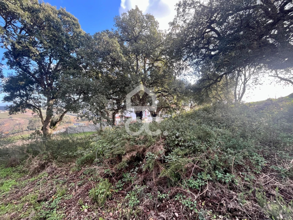 Terreno para Venda em A dos Negros Foto 8