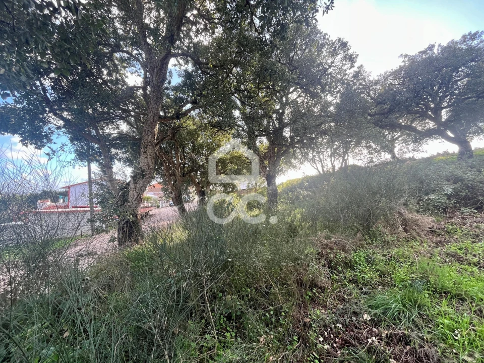 Terreno para Venda em A dos Negros Foto 15