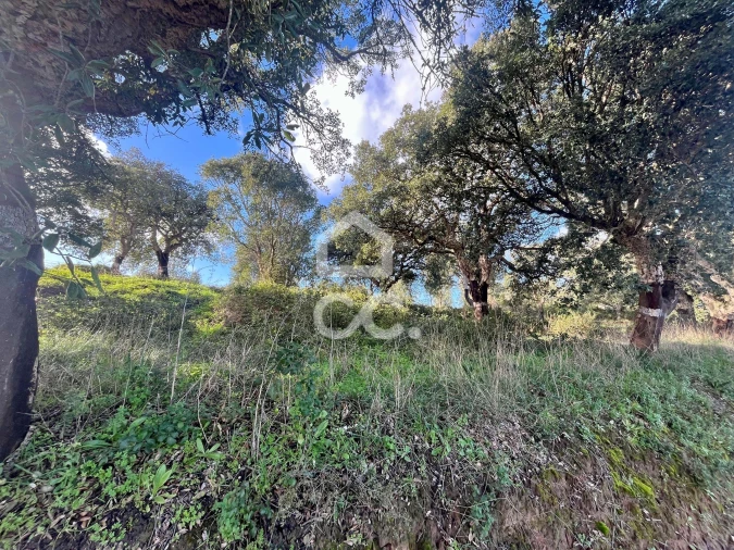 Terreno para Venda em A dos Negros Foto 12