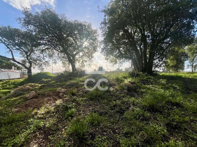 Terreno para Venda em A dos Negros Foto 7